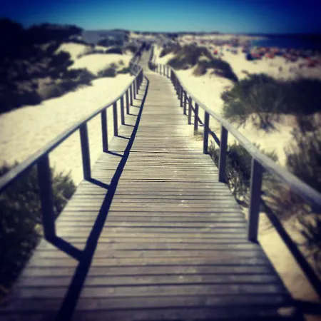Vela Marina *